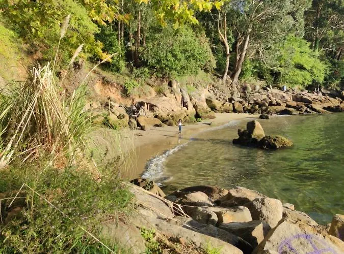 Alojate En Vigo! Casa Bien Equipada * Vigo